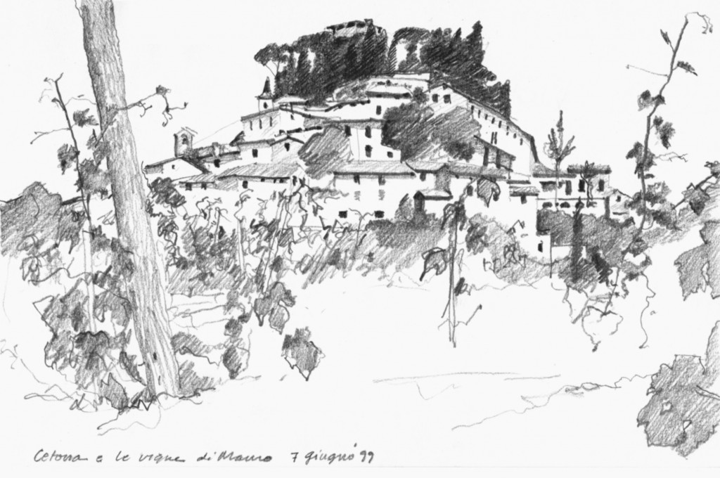 Cetona_crop1